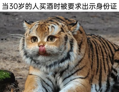 这是一张用猫脸和老虎身躯AI合成的搞笑梗图，并配有文字“当30岁的人买酒时被要求出示身份证”。图片用一只呆萌表情的猫脸合成到了老虎身上，表达了成年人在被误认为未成年时的无奈和尴尬。双关点为“明明很成熟却被要求证明年龄”，形成强烈反差和幽默感。常用于自嘲和社交网络生活段子。