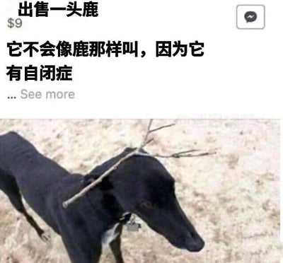 这是一张社交媒体平台的截图，属于图文混排的恶搞内容。上方文字区域写着「出售一头鹿 $9 它不会像鹿那样叫，因为它有自闭症」，下方配图是一只黑色细犬，脖子上被人为绑了两根树枝，用来伪装成鹿的角。创作者用「有自闭症所以不会鹿叫」这个荒诞的借口，把普通的狗伪装成鹿来售卖，制造出强烈的反差感和搞笑效果，是一个充满创意的趣味恶搞梗图，用来博人一笑。