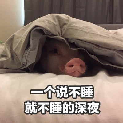 图片中一只宠物猪躲在灰色的被子里，只露出鼻子和眼睛，表情呆萌地偷看外面。被子下方的白色床单上有一行黑色加粗文字：“一个说不睡就不睡的深夜”。整体画面通过可爱的小猪形象与文字结合，幽默地描绘了人们在深夜明明该睡觉却坚持熬夜的状态，充满生活气息和趣味性。