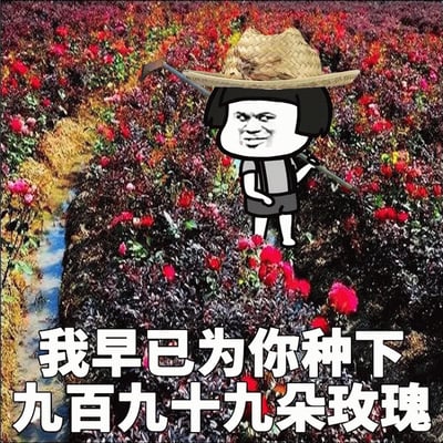 图片中是一片色彩鲜艳的玫瑰花田，红色花朵遍布整个画面，田间有一条小溪流过。画面中央有一个卡通化的 meme 人物，他戴着草帽，留着黑色短发，面部表情滑稽，身穿灰色上衣和黑色短裤，肩上扛着一把锄头。图片底部有一行白色大字：‘我早已为你种下九百九十九朵玫瑰’。整体通过将搞笑 meme 人物与浪漫的玫瑰花田场景结合，形成幽默反差，调侃了传统浪漫表白方式。