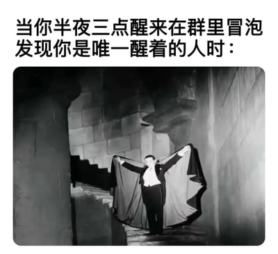 一张幽默梗图，上方文字描述“当你半夜三点醒来在群里冒泡发现你是唯一醒着的人时：”，下方是黑白电影截图，一名身披斗篷的男子在黑暗石廊中双臂张开，以夸张戏剧性的姿态，生动展现了深夜独自在群聊发言却无人回应的孤独与尴尬瞬间。
