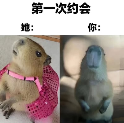 这是一张左右对比的梗图，标题为“第一次约会”。左侧标注“她：”，展示一只穿着粉色亮片衣服的水豚抬头看的样子，显得精致可爱。右侧标注“你：”，展示一只未穿衣服的普通水豚同样抬头看的样子，显得朴素。通过两只水豚的对比，幽默地表现了第一次约会时对方和自己的状态差异。