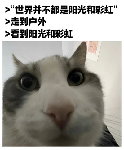 图片上方有三段文字：'世界并不都是阳光和彩虹'、'走到户外'、'看到阳光和彩虹'。下方是一只灰白相间的猫的特写照片，猫睁着大大的圆眼睛，表情看起来非常震惊和惊讶。背景是室内环境，有白色的墙壁和一张贴在墙上的纸。这张图通过文字和猫咪表情的反差制造幽默效果，暗示虽然世界不完美，但走出去仍能发现美好。