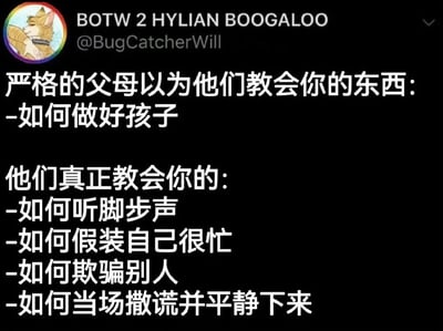 一张黑色背景的社交媒体截图，上方显示用户名“BOTW 2 HYLIAN BOOGALOO”和账号“@BugCatcherWill”，配有一个卡通猫的头像。图中用白色文字对比了“严格的父母以为他们教会你的东西”和“他们真正教会你的东西”，前者为“如何做好孩子”，后者包括“如何听脚步声”“如何假装自己很忙”“如何欺骗别人”“如何当场撒谎并平静下来”，通过幽默反差吐槽家庭教育中的意外结果。