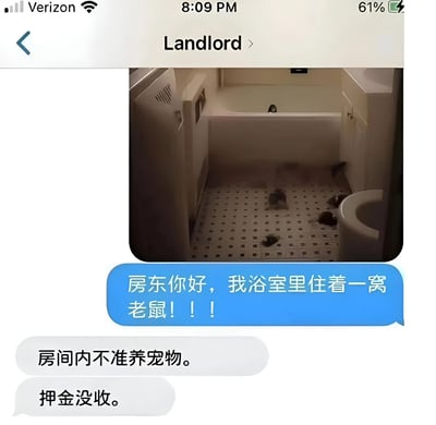 这是一张模拟的房东与租客聊天记录截图。截图上方显示联系人名称为“Landlord”，中间是一张浴室照片，地板上有多只老鼠活动。下方对话中，租客用蓝色气泡焦急地发送消息：“房东你好，我浴室里住着一窝老鼠！！！”，而房东则用灰色气泡回复：“房间内不准养宠物。”和“押金没收。”，形成因房东误解租客将老鼠当宠物饲养而产生的搞笑冲突场景。