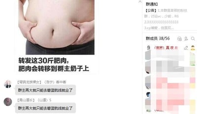 这是一张QQ群的聊天记录截图，画面呈现群内成员的互动内容：右侧是群界面，显示群为音奇的粉丝群，群公告标注群内讨论VOCALOID、少女前线、彩虹六号相关内容，同时提及CP相关规则，群成员人数为38/56；左侧是群内成员发送的一张搞笑图片，图中展示一双手捏着肚子上的肥肉，配文“转发这30斤肥肉，肥肉会转移到群主奶子上”，随后有两位群成员发送相同的消息玩梗调侃“群主再大就只能去碧蓝航线就业了”，该玩梗内容结合了手游《碧蓝航线》中存在大量身材丰满女性角色的特点，以此调侃群主，整体是游戏相关粉丝群内的日常搞笑互动内容。