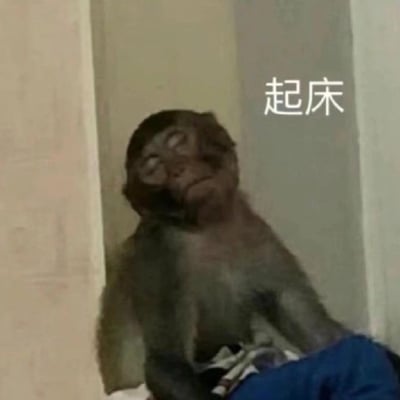 图片中是一只真实的猴子，它坐在角落里，眼睛半眯，头部微微后仰，表情显得十分疲惫和不情愿。猴子的身体微微蜷缩，似乎处于刚睡醒或不愿起床的状态。图片右侧有白色文字“起床”，简洁明了地概括了画面主题。这张图通过猴子生动的疲惫表情，幽默地展现了人们面对起床时的抗拒心理，非常贴近日常生活中“起床困难户”的状态，容易引发共鸣。