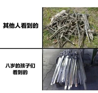 这是一张左右对比图，左侧上方文字为“其他人看到的”，旁边是一堆散落在草地上的干枯树枝，看起来杂乱无章；左侧下方文字为“八岁的孩子们看到的”，旁边则是一捆整齐堆放的银色金属宝剑，剑刃反光。图片通过成年人视角与儿童视角的反差，幽默地展现了孩子们丰富的想象力，将普通树枝幻想成酷炫的宝剑。