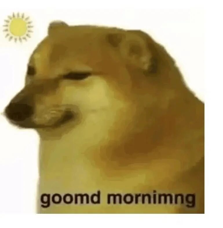 Doge