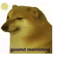 Doge