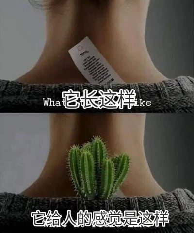 图片分为上下两部分对比展示。上半部分为一个人的后颈特写，衣领上方贴着一张白色标签，配文“它长这样”及英文“What it looks like”；下半部分同样是该后颈场景，但标签被替换成了一株绿色仙人掌，配文“它给人的感觉是这样”。通过将实物标签与象征刺挠感的仙人掌进行视觉替换，幽默地表达了某物实际样子与给人感觉之间的反差。