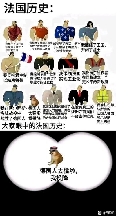 这是一张以反差感制造笑点的历史梗图，整体分为上下两个部分。上半部分以夸张的“猛男”卡通形象（部分形象搭配狗头），依次展示法国历史上的关键人物与高光事件：从法兰克王国的建立、查理曼帝国的崛起、十字军东征，到法国大革命、拿破仑称霸欧洲、法国工业化进程、巴黎公社运动、阿尔萨斯-洛林战役、二战抵抗、五月风暴、黄马甲运动等，呈现法国历史上的诸多辉煌与抗争时刻。下半部分则用一个弱小的卡通小狗形象，配文“德国人太猛啦，我投降”，以此调侃大众对法国的刻板印象——往往只记住二战中法国的投降事件，却忽略其历史上的众多高光成就，通过强烈的上下反差，放大这种刻板印象的荒谬感。