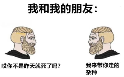 这是一张幽默梗图，上方有标题"我和我的朋友："，下方是两个完全相同的卡通风格胡子男性角色面对面站立。左侧角色说："哎你不是昨天就死了吗?"，右侧角色回应："我来带你走的杂种"。图片通过两个相同角色的对话制造出黑色幽默效果，暗示其中一个角色已经死亡并回来带走另一个。