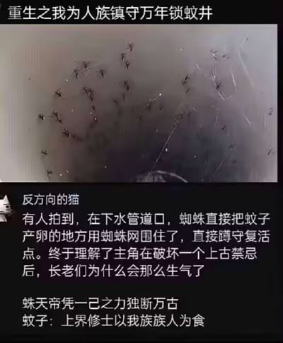 一张展示蜘蛛在下水管道口结网捕捉蚊子的照片，配上了充满奇幻色彩的文字描述。图片上方标题为“重生之我为人族镇守万年锁蚊井”，下方配有“蛛天帝凭一己之力独断万古 蚊子：上界修士以我族族人为食”的文字。

这张图片通过将普通的自然现象（蜘蛛捕食蚊子）用玄幻小说的风格进行描述，创造出幽默效果。把蜘蛛比作守护人类的“蛛天帝”，把蚊子比作被“上界修士”（蜘蛛）捕食的“族人”，形成了强烈的反差萌。