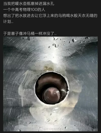 这张图配文描述了一个有趣的生活场景：作者在把暖水壶瓶塞意外塞进水池的下水孔后，尝试用“中高考物理100分”的知识，通过往水池灌水，让瓶塞像‘乌鸦喝水’实验那样浮起来，结果却发现瓶塞像马桶一样直接冲没了。图片下方是下水道管口拍摄的特写，瓶塞卡在管道中，隐约可见，显得特别搞笑和绝望。

全图结合了物理知识、失败尝试和幽默自嘲，画面上并没有明确双关或谐音梗，但‘乌鸦喝水’和‘马桶冲没’这两个画面形成了有趣的对比和反差。