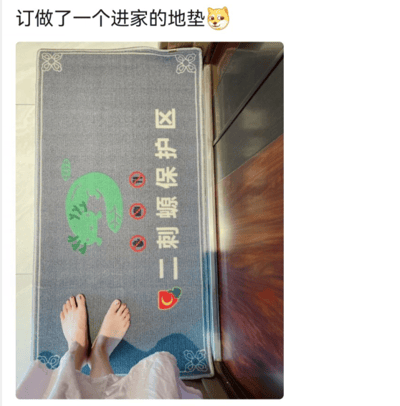 这是一张原始拍摄的静态图，展示了一块用户定制的入户地垫。地垫为灰色底色，边缘带有白色花纹装饰，上面印有绿色的卡通蝾螈图案，竖排白色文字‘二刺螈保护区’，文字旁配有三个禁止类标识，分别是禁止吸烟、禁止明火、禁止尖锐物品的图案，底部还有一个草莓图案。画面下方露出一双人的脚踩在地垫上，图片顶部的配文为‘订做了一个进家的地垫🐶’。其中‘二刺螈’是‘二次元’的谐音，用户以此将自己的家定义为二次元爱好者的专属区域，是充满趣味的个性化家居物品，体现了主人对二次元文化的喜爱。
