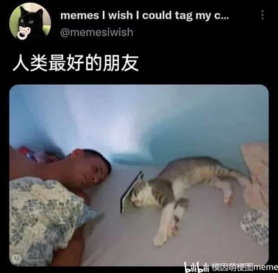 这是一张趣味搞笑meme图，配文“人类最好的朋友”打破了“人类最好的朋友是狗”的常规说法，图中一名男子正躺在床上熟睡，身旁的猫咪也躺着睡觉，但猫咪的脸部被一个平板压住，呈现出滑稽的睡姿，用这种宠物和主人日常相处的搞笑瞬间制造反差笑点，展现了宠物和主人之间温馨又有趣的氛围。