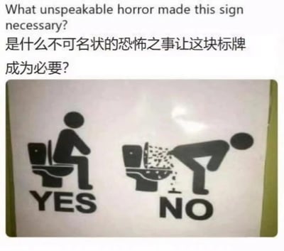 图片主体是一块对比厕所使用方式的标牌，左侧为黑色简笔画图标：人物正常坐在马桶上，下方标注“YES”；右侧图标为人物弯腰对着马桶，有碎屑飞溅效果，下方标注“NO”。标牌上方叠加中英文文字：“What unspeakable horror made this sign necessary? 是什么不可名状的恐怖之事让这块标牌成为必要？”。整体通过夸张的错误使用场景与悬念式提问，以幽默手法暗示该标牌的设立源于真实发生过的混乱事件，引发观者对背后荒诞故事的联想。