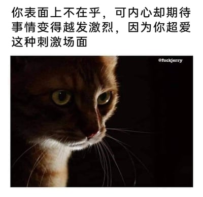 这是一张精准刻画人类“嘴硬爱看热闹”心理的图文表情包。顶部的文字直白点出了那种“表面装作不在意，内心却极度期待事情升级、渴望刺激场面”的矛盾心态；下方的配图是一张光线昏暗的橘白猫特写，猫咪眼神紧绷、瞳孔微缩，面部表情隐忍又带着隐秘的兴奋，仿佛在专注地等待着“好戏开场”，将文字描述的心理状态以极具画面感的方式呈现出来，非常生动形象，很适合用来调侃自己或他人爱看热闹却又嘴硬的样子。