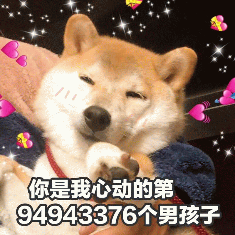 心动的第94943376个男孩子 - 柴犬表情包