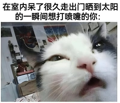 图片上方配有文字“在室内呆了很久走出门晒到太阳的一瞬间想打喷嚔的你:”，下方是一张奶牛猫的特写照片。猫咪眼睛微眯，嘴巴微张，表情生动地模仿了人长时间待在室内后突然接触阳光时想打喷嚏的瞬间反应，背景为模糊的室内环境，整体通过猫咪的可爱表情与文字描述形成幽默共鸣。