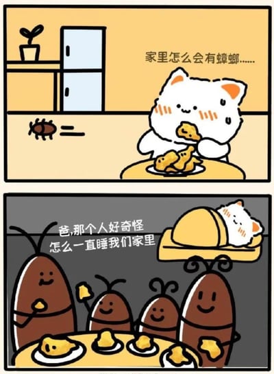 这是一组两格的原创搞笑漫画，采用视角反转的方式制造笑点：
第一格：一只白色猫咪正坐在餐桌前吃炸鸡，看到路过的蟑螂，疑惑地想着“家里怎么会有蟑螂......”，此时猫咪以“主人”的视角看待家里的蟑螂。
第二格：视角切换到蟑螂一家的视角，蟑螂们正在聚餐吃炸鸡，小蟑螂疑惑地问爸爸“爸,那个人好奇怪怎么一直睡我们家里”，此时蟑螂才是把这里当作家的“主人”，猫咪反而成了它们眼中的“外来者”。这种视角的错位反转，形成了强烈的反差搞笑效果。