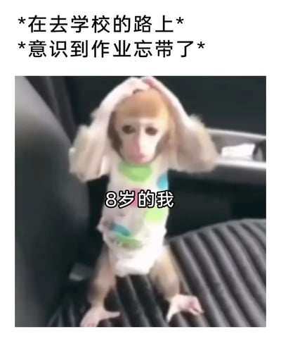 这是一张充满共鸣感的搞笑表情包，上方文字设定场景为“在去学校的路上，意识到作业忘带了”，图中一只穿着带彩色图案衣服的猴子坐在车座上，双手抱头，眼神慌乱，神态崩溃，猴子身上标注着“8岁的我”，生动地还原了童年时期，在上学途中突然发现自己忘带作业时的惊慌、无助与崩溃的心情，用拟人化的猴子形象来表现这种极具代入感的情绪，能引发众多有相似童年经历的人的共情。