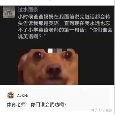 这张梗图由两条段子评论拼贴组成，讲述了小时候家长用英语蒙混过孩子，以及到小学英语老师上课时用"你们谁会说英语？"开头，形成童年阴影的趣事。下方则有网友模仿用体育老师举例，衍生出“你们谁会武功？”的幽默追问。整体氛围轻松搞笑，凸显了中国小朋友在学习英语、体育等学科时对老师第一句话的集体记忆，也通过跳脱的联想形成出其不意的幽默。*没有使用谐音或双关，但属于冷幽默和情境错位。*