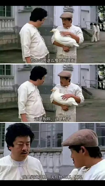 这是一组由三格香港喜剧电影截图组成的连环梗图，通过逻辑反转的对话制造搞笑效果：第一格中左侧男子对着抱着白鸭的男子发问“你怎么带这么瘦的狗逛街”；第二格中抱鸭男子无奈纠正“这是狗吗，这是鸭子”；第三格中左侧男子突然不耐烦地回怼“我是问这只鸭，关你什么事，再见”，前后对话逻辑混乱，形成无厘头的荒诞笑点，用来调侃不讲理、逻辑矛盾的对话场景。