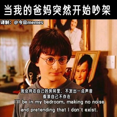 这是一张改编自影视截图的搞笑共鸣梗图，顶部配文点明场景“当我的爸妈突然开始吵架”，图中是《哈利·波特》里的哈利·波特，他表情局促不安，下方配有中文和英文台词“我会待在自己的房间里，不发出一点声音，假装自己不存在”，精准描绘了很多人在面对父母吵架时，因不知所措而选择躲起来降低存在感的真实心态，能够引发有相似经历人群的强烈共鸣。