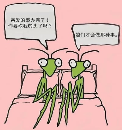 两只绿色螳螂坐在粉色的床上，左边的雄性螳螂睁着大眼睛，疑惑地问：“亲爱的事办完了！你要砍我的头了吗？”右边的雌性螳螂则带着不屑的表情回应：“娘们才会做那种事。” 该图通过拟人化手法，幽默调侃了螳螂交配后雌性可能吃掉雄性头部的生物特性，将动物行为转化为情侣间的趣味对话。