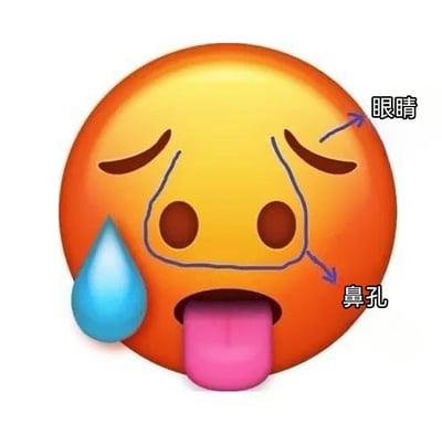 这是一张对苹果iOS系统吐舌流汗emoji进行二次创作的搞笑梗图，创作者利用表情的视觉相似性，用蓝色箭头和文字错误地将表情的眉毛标注为“眼睛”，将包含鼻孔的面部区域标注为“鼻孔”，制造出视觉错位的滑稽效果。原emoji本身呈现出吐舌、流汗的疲惫神态，加上错误标注后，形成了荒诞好笑的反差感，这类梗图常被用于社交平台，用来表达尴尬、无语或者单纯搞笑的情绪。