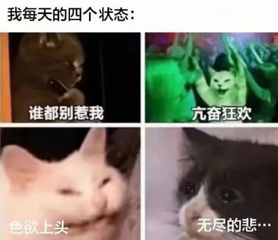 这是一张四格拼接的猫咪表情包，标题为“我每天的四个状态：”。左上角是一只表情愤怒的猫咪，配文“谁都别惹我”；右上角是一只在绿色灯光下兴奋举手的猫咪，配文“亢奋狂欢”；左下角是一只眯眼坏笑的猫咪，配文“色欲上头”；右下角是一只眼神忧郁的猫咪，配文“无尽的悲...”。通过四只不同表情和动作的猫咪，幽默展现了日常中可能出现的四种情绪状态。