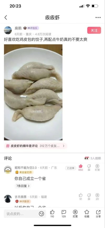 这是一张皮皮虾社区的帖子截图，来自重庆的用户“亂鵲”（带有“神评伯乐”标识）发布了一盘形似鸡翅的鸡皮饺子照片，配文称“好喜欢吃鸡皮包的饺子，再配点牛奶真的不要太爽”，该帖子发布6天获得4.8万次阅读。评论区中，广东用户“昵称不能为空2.0”（带有“黄金鉴定师”标识）留下评论“你自己成立一个省”，这条评论收获650个赞并被平台标记为“已送神”，成为热门神评；另有福建用户的评论也获得了不少点赞与踩的互动。整个场景是网友分享小众奇特饮食搭配，引发其他网友趣味玩梗吐槽的社区互动内容，充满搞笑调侃的氛围。