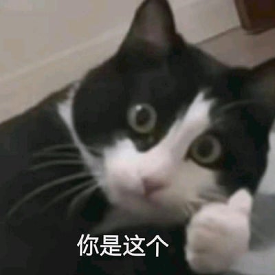 这是一张用于表达夸赞的动物表情包，图中的黑白奶牛猫睁着圆溜溜的眼睛，一只爪子做出竖大拇指的姿势，画面下方配有文字“你是这个”，用可爱的猫咪形象传递出对他人的认可与赞赏，风格生动有趣，适合在社交场景中使用，没有双关、谐音梗等特殊表意。