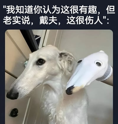 图片中一只白色灵缇犬表情严肃地看向左侧，旁边有一只戴着白色手套的手，手套上画着眼睛和鼻子，模仿狗狗的长脸造型。图片顶部配有文字：“我知道你认为这很有趣，但老实说，戴夫，这很伤人”，将狗狗拟人化，仿佛在向名为“戴夫”的人抱怨这种模仿行为让它感到受伤。整体通过动物的真实表情与人类的趣味模仿形成反差，营造出幽默又略带委屈的效果。