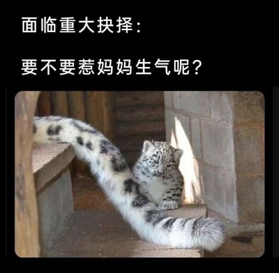 暂无描述