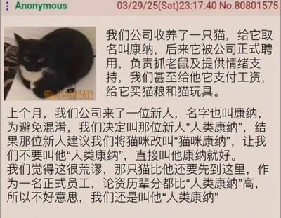 这张图片是一个社交媒体截图，展示了一个有趣的职场故事。图中左侧是一只黑白相间的猫，右侧是一段文字，讲述了一家公司收养了一只名叫康纳的猫并正式聘用它，后来来了一位同名的新员工，导致了关于称呼的有趣冲突。公司坚持叫新员工“人类康纳”，因为猫咪康纳资历更老。整个故事充满幽默感，展现了现代职场中轻松有趣的一面。