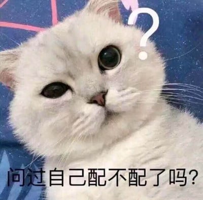图片主体是一只白色猫咪，它歪着头，睁着一双又大又圆的眼睛，眼神中带着明显的疑惑和审视。猫咪头顶右侧有一个白色的问号符号，强化了疑惑的情绪。图片底部有一行黑色文字："问过自己配不配了吗？"。整体画面以蓝色星空为背景，左上角有粉色的几何图案。这张图片通过猫咪疑惑的表情和质问式的文字，形成了一种幽默又略带犀利的效果，常被用于网络交流中表达质疑或调侃的情绪。