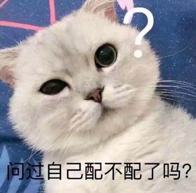疑惑猫咪质问表情包：问过自己配不配了吗？