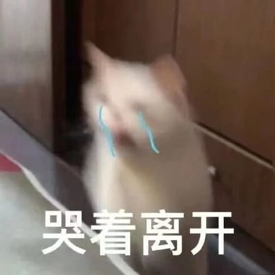 这是一张经过P图改编的动态表情包（GIF），画面主体是一只浅色猫咪，它的脸部因快速移动而模糊，像是在匆匆离开，同时被添加了蓝色的流泪线条特效，画面下方配有醒目的白色文字“哭着离开”。整体将猫咪的动作和人为添加的流泪、文字结合，生动地传递出委屈、受挫后伤心又狼狈地逃离的情绪，常被用于社交聊天中，表达自己遭遇不顺、心情低落时想要逃离当下场景的心情。