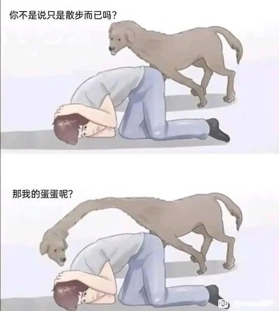 这是一张由上下两格组成的连环卡通搞笑梗图。上格中，一位双手抱头、跪趴在地面的主人，背后站着一只表情愤怒的狗狗，狗狗的台词“你不是说只是散步而已吗？”，暗示主人此前以散步为借口，带狗狗去做了绝育手术，狗狗回来向主人讨要说法。下格中，狗狗的脖子大幅伸长，头部凑到主人胯下，利用视觉错位的效果，让主人的下半身看起来像是失去了睾丸，此时主人的台词“那我的蛋蛋呢？”形成荒诞的反转，用无厘头的方式消解了宠物绝育的小悲伤，制造出强烈的喜剧效果。