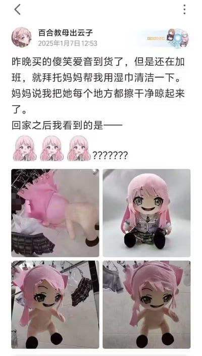微博用户「百合教母出云子」刚买到BanG Dream!里的千早爱音毛绒玩偶（俗称fufu），因加班拜托妈妈帮忙用湿巾清洁并晾干。妈妈按照自己的理解，把玩偶的头发、衣服全部拆下来，和光秃秃的玩偶本体分开晾晒，还说「每个地方都擦干净晾起来了」。用户回家看到这一幕直接懵圈，完整玩偶和拆分晾晒的画面形成搞笑对比，戳中了二次元爱好者和长辈之间的代沟笑点。
无谐音梗或双关，纯生活趣事的反差笑点。