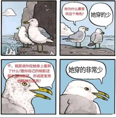 四格漫画形式的梗图，两只海鸥站在海边岩石上讨论角色喜好。第一只海鸥试图进行深度分析，询问对方在角色身上看到的是自己的缩影、生活的希望还是宝贵的精神品质，而第二只海鸥始终坚持简单直接的理由："她穿的少"和"她穿的非常少"。通过这种反差制造幽默效果，讽刺了人们对角色喜好的不同解读方式。