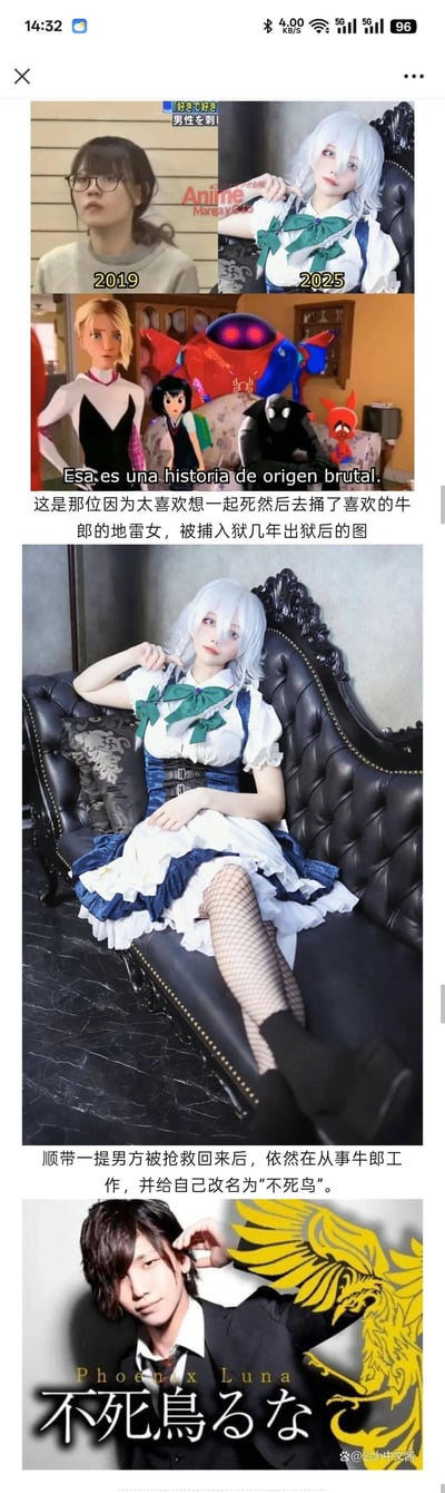 这是一张多图拼接的竖屏梗图，包含多个场景和文字说明。顶部左侧为2019年与2025年的人物对比图，右侧是白发绿领结的cosplay角色；中间部分有西班牙文及其中文翻译，讲述一位“地霊女”因想与喜欢的牛郎同死而捅伤对方，入狱几年后出狱的故事；下方是该角色斜躺在黑色雕花沙发上的cosplay照片，穿着蓝白女仆装搭配网袜；最底部则是一位黑发男性，标注为被抢救后改名“不死鸟”的牛郎，背景有黄色凤凰图案。整体内容以虚构的荒诞故事为核心，结合cosplay照片制造幽默效果。