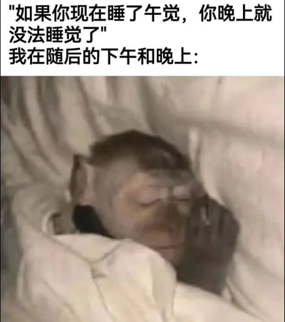 图片上半部分为黑色文字：“如果你现在睡了午觉，你晚上就没法睡觉了”“我在随后的下午和晚上：”，下半部分是一只猴子裹在白色被子里，双眼微闭、神情困倦地倚靠在枕头上休息的画面。通过文字与猴子困倦状态的结合，幽默展现了“担心午睡影响晚上睡眠但下午依然困倦”的矛盾日常。