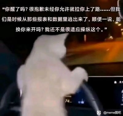 暂无描述