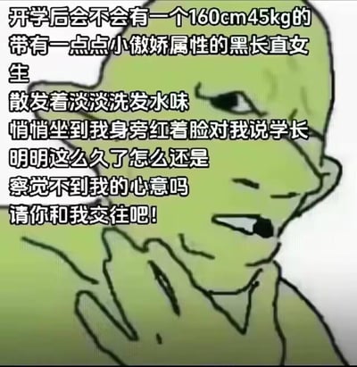 这是一张基于绿色歪嘴蜥蜴人表情包创作的梗图，图中蜥蜴人做出手托下巴、歪头憧憬的神态，搭配的文字是男生对开学的恋爱幻想：希望有个160cm45kg的黑长直傲娇学妹，带着淡淡洗发水香味，红着脸坐到自己身旁，吐槽自己迟迟没察觉她的心意并请求交往。整体充满了中二搞笑的氛围，是对校园恋爱的美好不切实际的憧憬，没有双关、谐音梗或暗示内容。