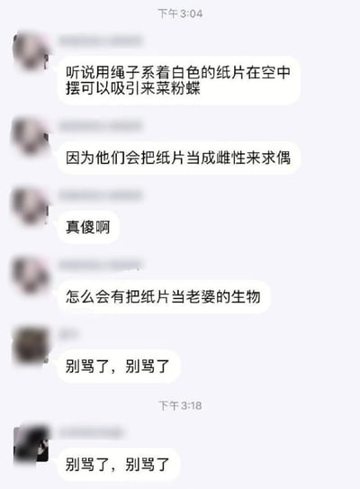 这是一张即时通讯软件的聊天记录截图，对话首先由一名用户科普菜粉蝶会将空中晃动的白色纸片误认成雌性个体前来求偶，随后吐槽菜粉蝶傻，发出“怎么会有把纸片当老婆的生物”的疑问，后续有另外两名用户先后回复“别骂了，别骂了”，玩的是二次元爱好者将喜爱的虚拟纸片人角色称作“老婆”的梗，以此自嘲自己和菜粉蝶一样对纸片“对象”投入喜爱，笑点在于巧妙的映射自嘲。