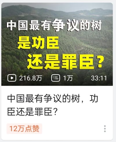 这是一张社交媒体平台的视频内容截图，整体分为上下两部分：上半部分是视频的封面图，背景是一片覆盖着茂密林木的山地，上方用醒目的白色和黄色大字标注着“中国最有争议的树 是功臣 还是罪臣？”，同时显示该视频的播放量为216.8万、评论量1万、视频时长33分11秒；下半部分是该视频在社交平台的展示卡片，重复了核心标题“中国最有争议的树，功臣还是罪臣？”，并标注了12万点赞的数据。这张图通过抛出争议性问题，引发观众对这类树木的作用与影响的好奇。图中没有双关、谐音梗等内容。针对图中的问题，这一争议大概率指向桉树：桉树生长速度极快，能快速为造纸、木材加工等产业提供原料，带来经济收益，在经济层面可被称为“功臣”；但桉树蒸腾作用强，会大量消耗区域内的地下水，且其生长过程中可能抑制周边其他植物的生长，对局部生态环境造成负面影响，因此又被部分人视为“罪臣”，这也让它成为了极具争议的树种。